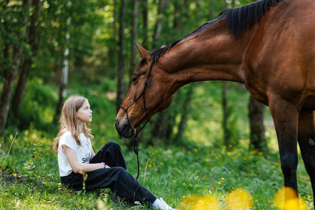 Raudoni Vakarai – žirgai ir gamta