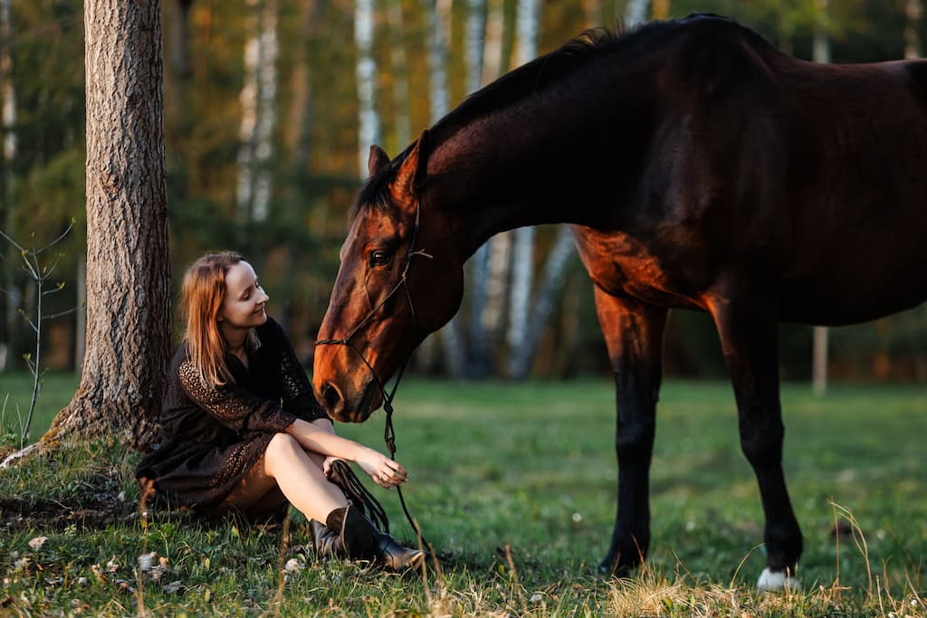 Raudoni Vakarai – žirgai ir gamta